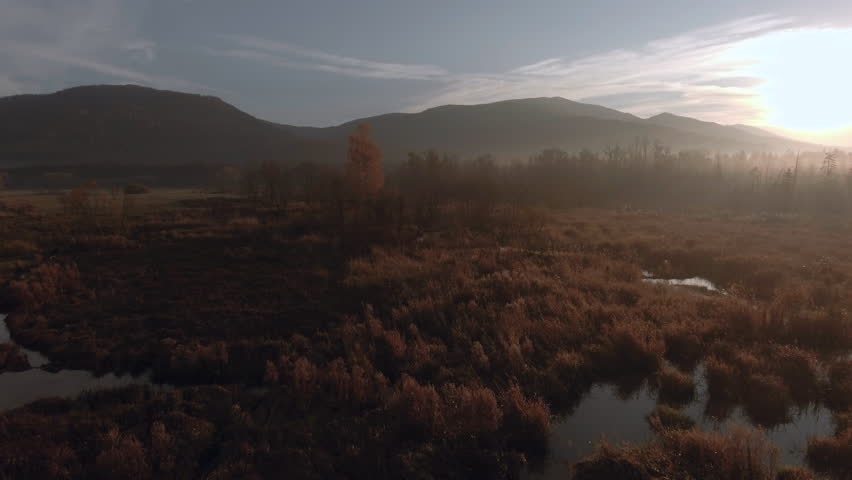 Wasteland - Wetlands at sunrise with golden grasses, scattered trees, and a distant mountain range under a soft morning sky, partially covered by light mist. Bieszczady.