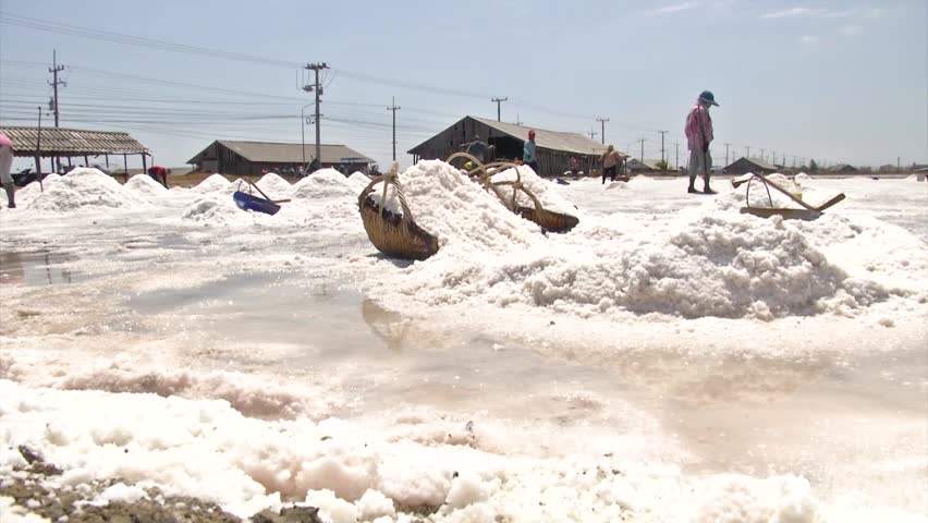 "Thai salt farmers working in seawater evaporation fields."
"Sea salt harvesting in coastal Thailand."
"Traditional salt farming process in Thailand."
"Sea salt production in rural Thai villages."