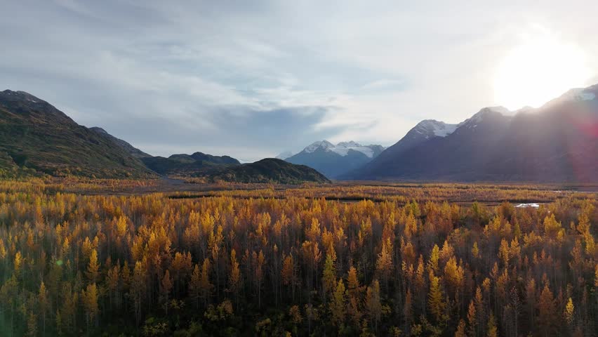 Beautiful autumn boreal forest by Lake George at sunset, Alaska. Aerial