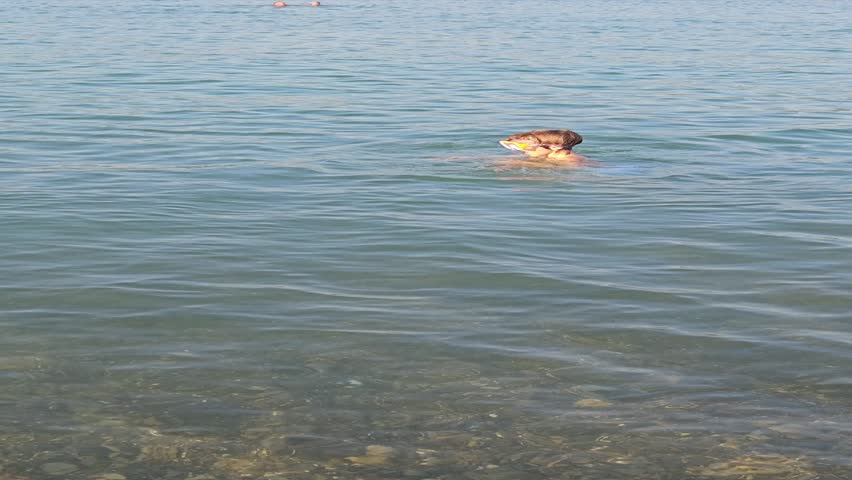 A boy dives into the water on the sea beach