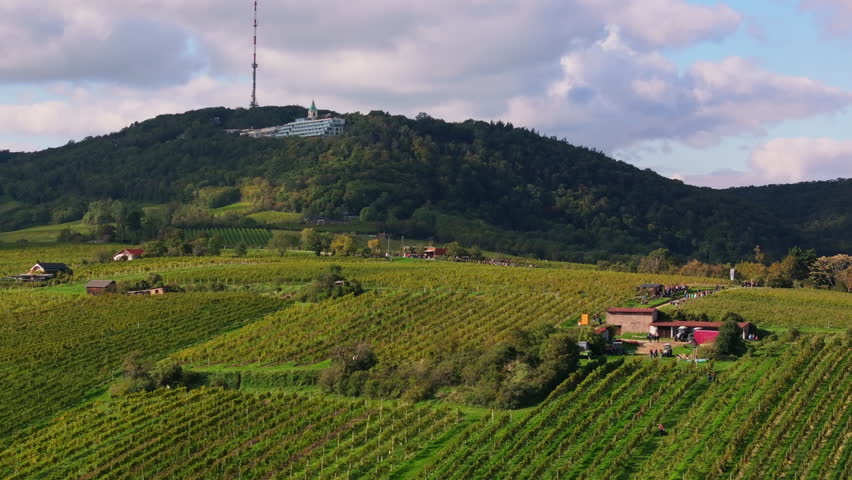 Scenic aerial view of Kahlenberg Hill with its famous vineyards and transmitter tower, in the outskirts of Vienna in Austria, during a sunny autumn day