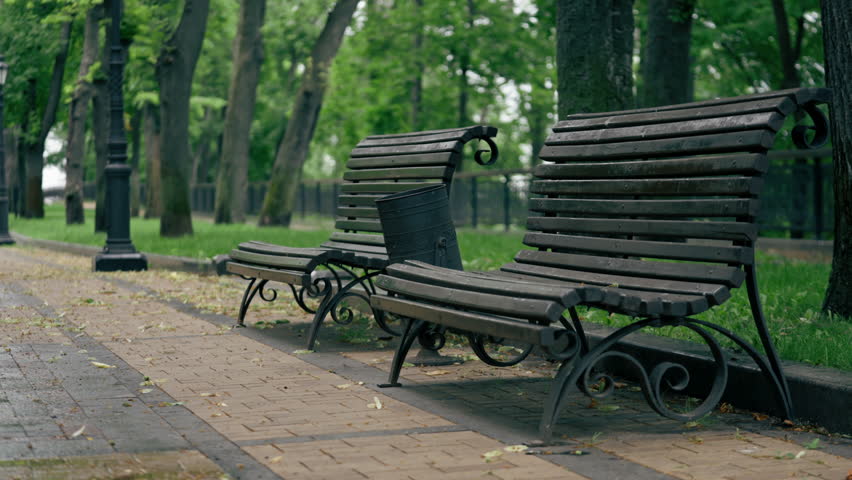 Ukraine Kyiv Summer August 2, 2024 Mariinsky Park recreation area many trees sidewalks for walks with benches and fences
