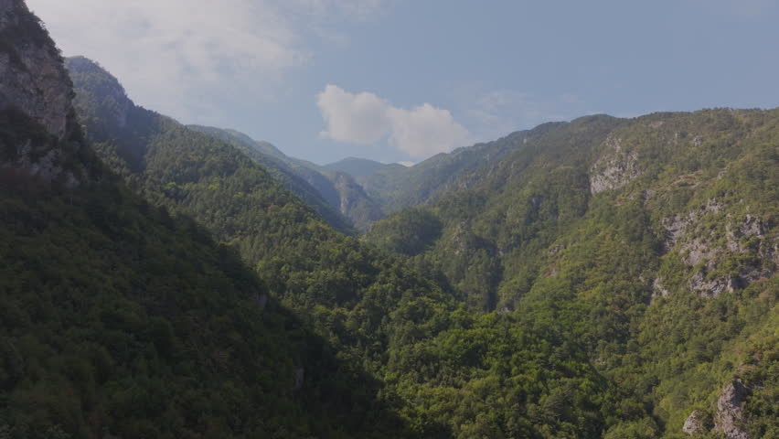Aerial view above a mountain green forest, basking under a bright summer sun. A stunning array of trees and clear blue skies creates a picturesque natural landscape