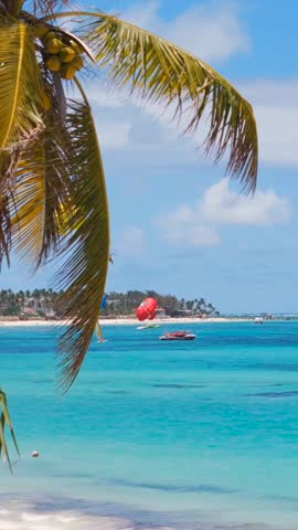 Vertical view through palm trees to a large white sand beach with many resorts and hotels on the coast of turquoise Caribbean sea. Watersports excursions while summer vacations in Punta Cana