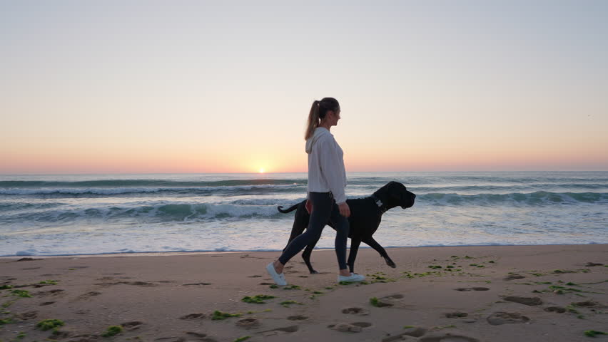 Woman walking dog Great Dane on sandy beach, sharing peaceful moment at sunrise by ocean summer. Serene coastal setting warm light highlight companionship relaxation nature. Pet care. Travel lifestyle