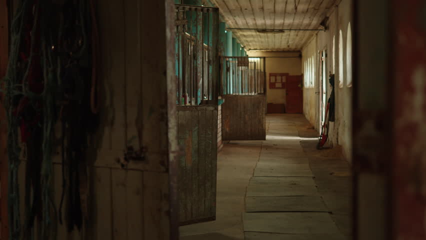 view from the doorway to the empty stable