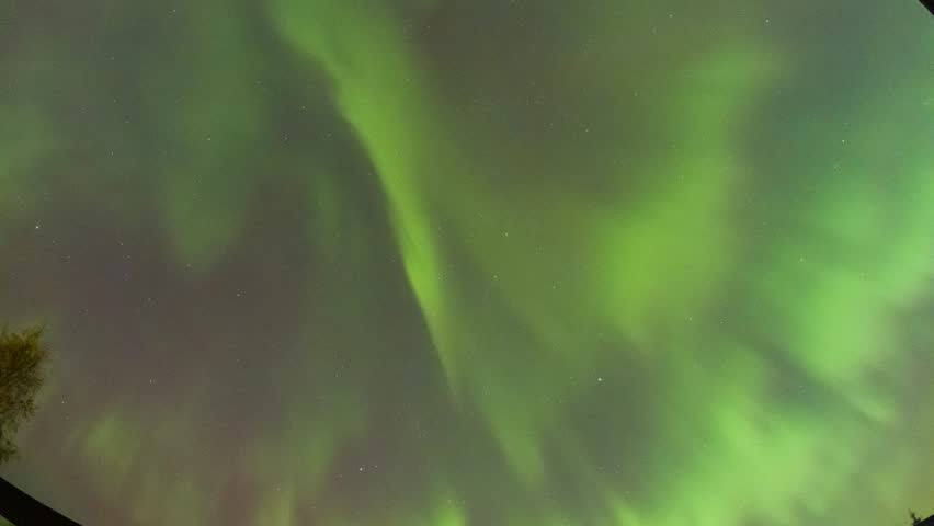Astronomy time-lapse colorful Aurora Borealis Green pink light Loop northern Sky. look up view to the brith solar storm dancing in the air. Atmosphere of light effects from sun energy to the earth.