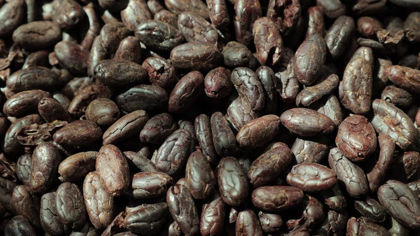 Closeup of roasted cocoa beans 