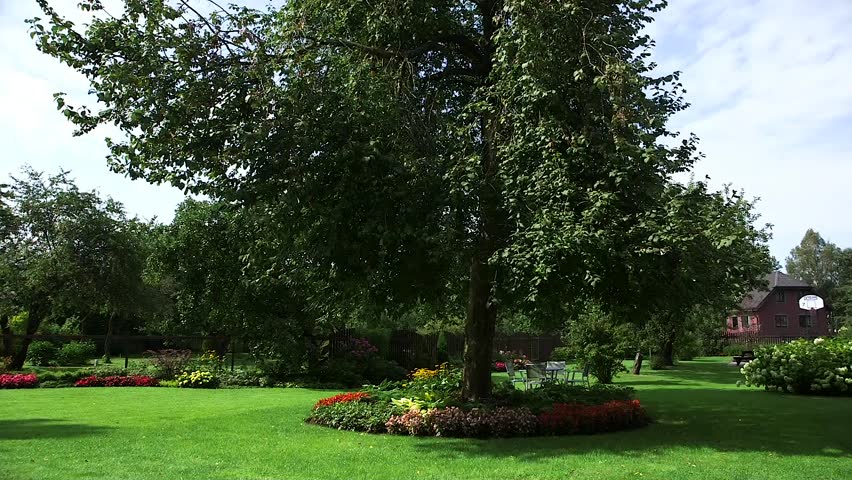 Wonderfully Cultivated Backyard with Trees, Bushes and Flowers. A well-kept inner yard of the house creates a pleasant feeling for both the owners of the house and the guests.