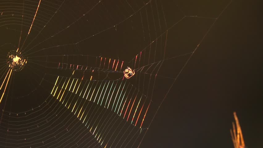 A spider web with a spider in the middle. The spider is surrounded by a colorful web - Powered by Shutterstock - Get 15% off with code: PIKWIZARD15
