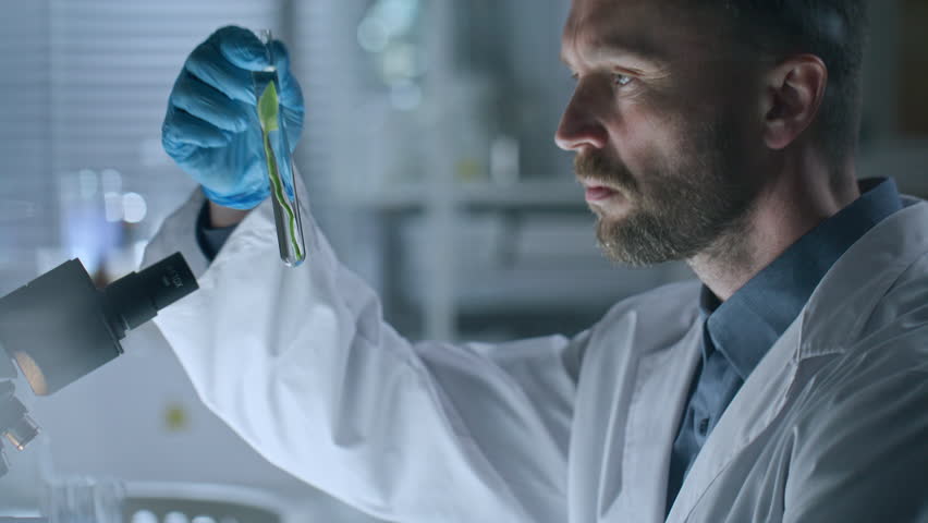 Focused male scientist in lab coat and sterile gloves holding test tube containing green plant in transparent liquid and studying its growth during botany research in laboratory