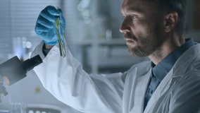 Focused male scientist in lab coat and sterile gloves holding test tube containing green plant in transparent liquid and studying its growth during botany research in laboratory - Powered by Shutterstock - Get 15% off with code: PIKWIZARD15