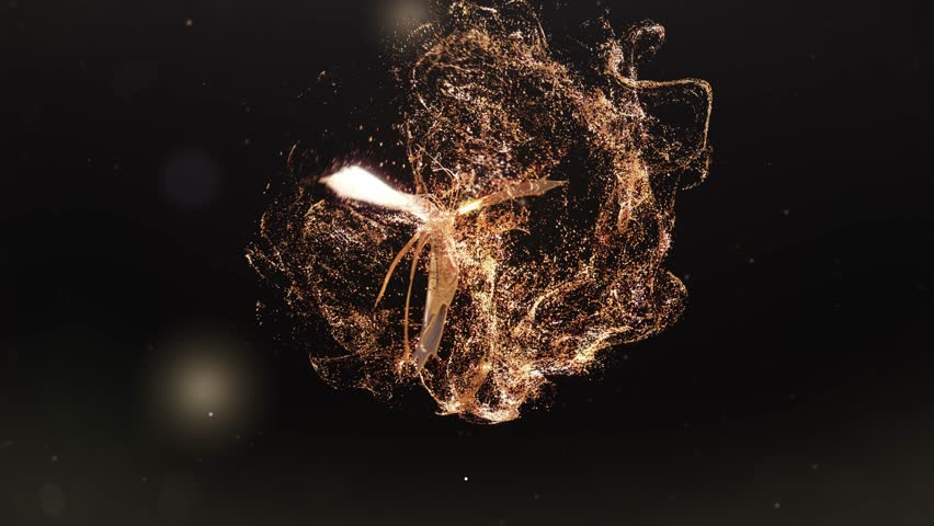 butterfly particle trail effect. gold particle trail motion