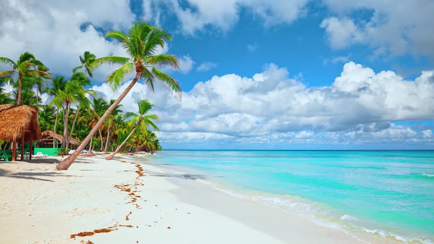 Tropical beach resort on the island in Dominican Republic with coconut palms. Blue cloudy sky over the ocean. Sunny day on the picturesque coast of the Caribbean Sea. Paradise palm island.