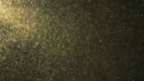 Ray of light illuminates countless particles swirling gently in a dark environment, creating a mesmerizing display of floating dust motes and atmospheric textures - Powered by Shutterstock - Get 15% off with code: PIKWIZARD15