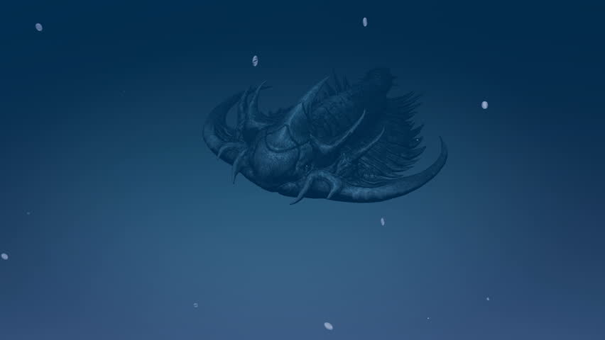 Extinct Trilobites move under the deep blue sea. An 3d animation of prehistoric Trilobites. 