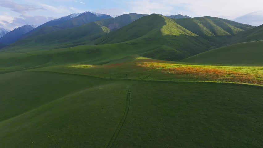 Shutterstock Video
