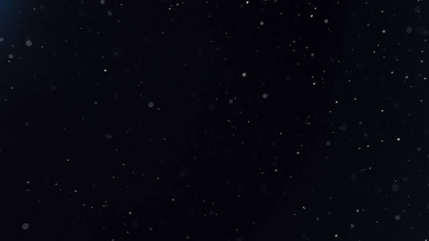 Shutterstock Video
