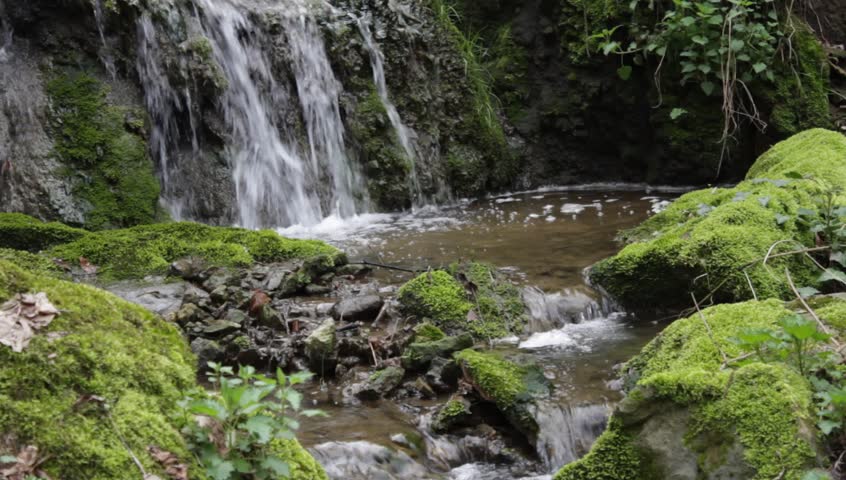 pure fresh water 스톡 동영상 비디오(100% 로열티 프리) 3645158 | Shutterstock