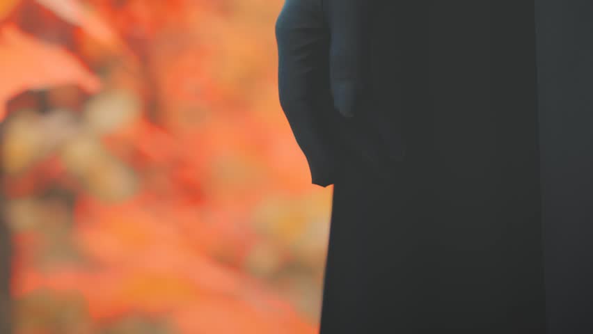 gothic woman in autumn forest face hidden by lace carnival mask, hood on head, hand shows gesture to keep secret. black dress cape. Fantasy scary sexy girl nature trees red orange leaves. Happy lady.