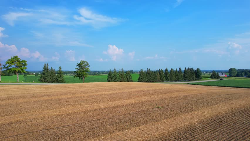 Aerial view of agricultural farms and crops fields. Agricultural landscapes from above depicting vibrancy of farms in Canadian soil. Planted corn and soy. Planting rows of crops during sun set.