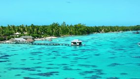 Drone Tuamotus atoll. Aerial view Fakarava island in French Polynesia. Tropical beach, palm trees and clear ocean water. Exotic travel destination for honeymoon, cruise and scuba diving.  - Powered by Shutterstock - Get 15% off with code: PIKWIZARD15