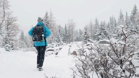 A hiker woman treks through a serene pine forest blanketed with fresh winter snow. She walks peacefully among the towering, snow-dusted trees, surrounded by tranquil winter beauty. - Powered by Shutterstock - Get 15% off with code: PIKWIZARD15