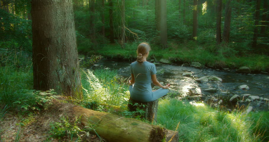 Woman sits meditatively on a stump by the stream in the heart of a serene forest with surrounding green foliage