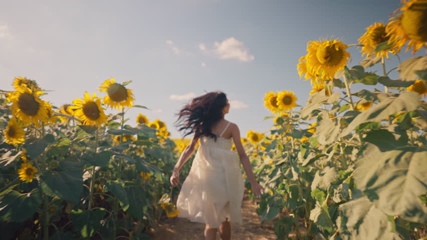 Free asian woman running on yellow sunflower field. Happy young woman jogging through field of a blooming sunflower during summer day. Freedom leisure concept. Slow motion