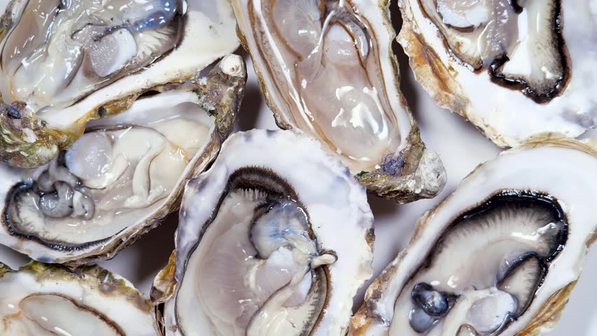 Open L'authentique Oysters Rotating Background. Fresh Oysters Close-up Top View. Healthy Sea Food. Gourmet Food, Delicatessen, Macro Shot