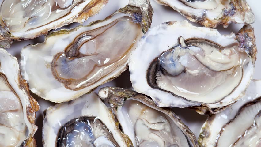 Open L'authentique Oysters Rotating Background. Fresh Oysters Close-up Top View. Healthy Sea Food. Gourmet Food, Delicatessen, Macro Shot