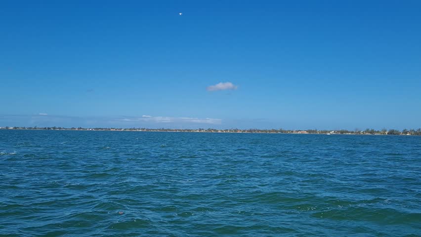 Crossing Araruama Lagoon, Brazil, with natural beauty highlighted by diving birds and a vibrant fishing scene near the ferry boat over calm waters.