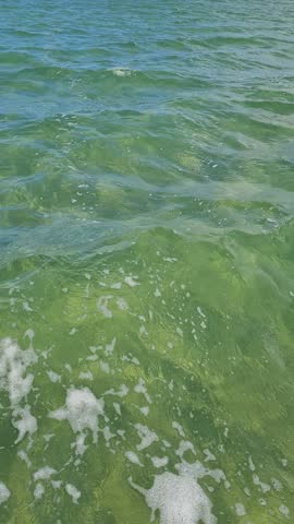 Ferry Boat Araruama Praia Seca (Dry Beach) - Crossing Araruama Lagoon, Brazil, with natural beauty over calm salt waters in a sunny day.  Vacation  at Região dos Lagos.