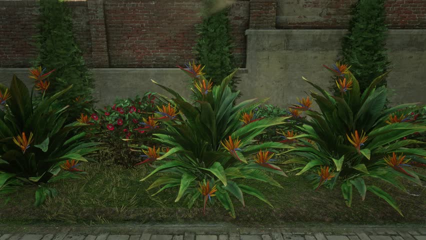 3D. USA. New Orleans. Mansion garden. Bird of paradise flower