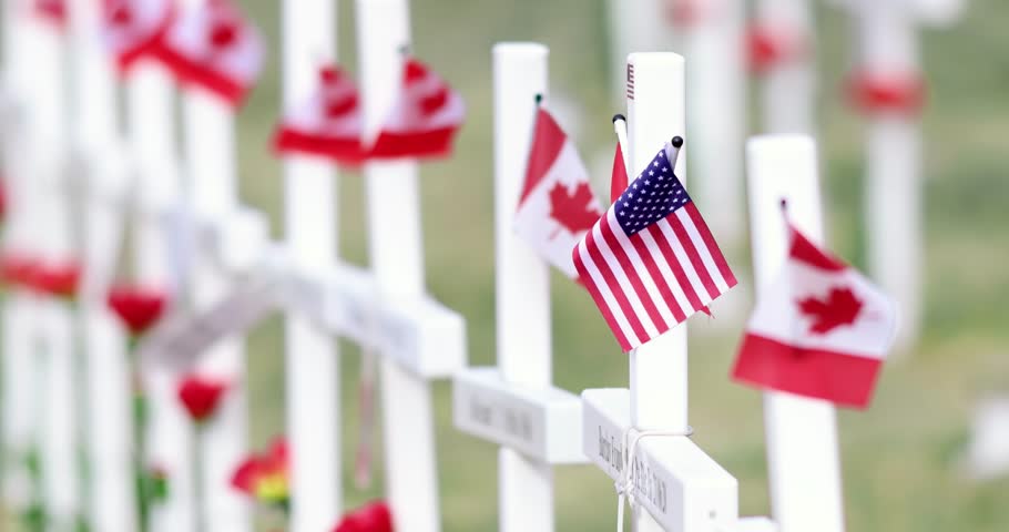 A poignant display of remembrance. Rows of white crosses, draped with Canadian and American flags, line Memorial Drive in Calgary, honoring fallen heroes and the shared bond between nations.