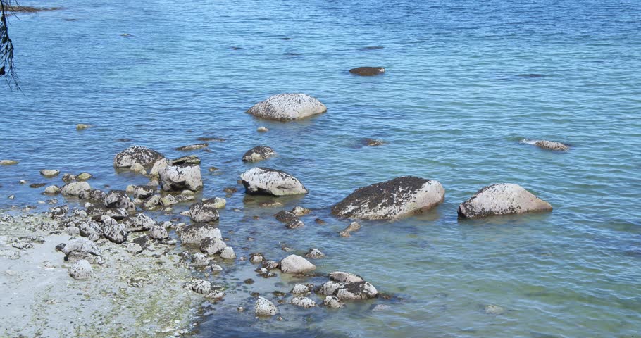 Handheld shot of a serene coastal scene featuring rocks along a tranquil shoreline with clear, blue water on a calm day in Nanaimo, BC, Canada.
