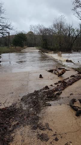 Cattle pasture flooded by Norfolk River