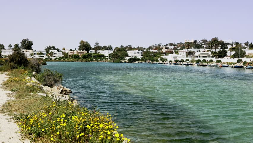 Serene view of blue waters and neatly moored boats along coastline near Punic Ports in Carthage, against backdrop of modern city architecture under Tunisian sun. High quality 4k footage