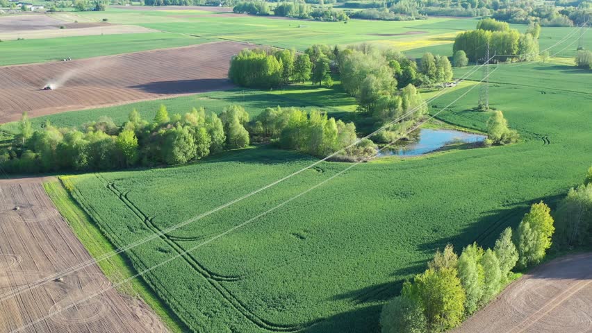 spring landscape with groves and fields, May,  aerial view