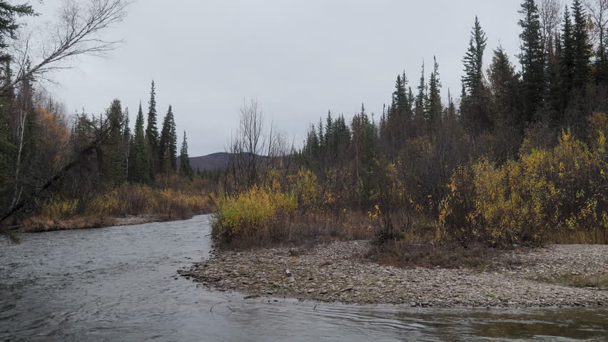 Bend in the Chena River, Alaska, near the Chena Hot Springs with fall colors