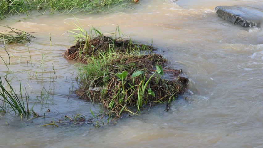 River water flowing through stones and rocks. Mountain river flows through green forest. Wild river flowing through the mountain.