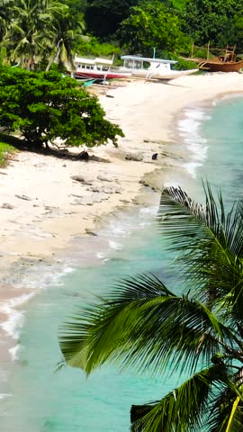 Beach with coconut trees and sea waves on white sands. Coron, Palawan. Philippines. Vertical view.