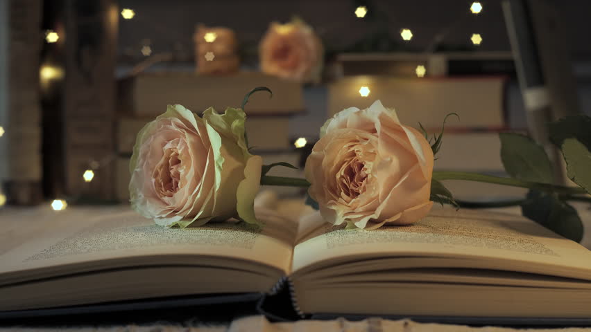 Two pink roses lie on an open book. Twinkling stars in the background, creating a warm and enchanting atmosphere for a quiet evening.