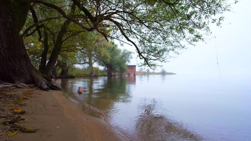 Serene beauty of nature. A lake with a tiny house and an old tree on the side shot in 4K.