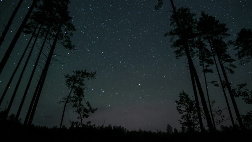 The night sky reveals a breathtaking display of stars above a serene forest. Time lapse of stars move above the silhouettes of trees around a polar star in night sky.