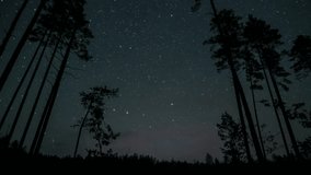 The night sky reveals a breathtaking display of stars above a serene forest. Time lapse of stars move above the silhouettes of trees around a polar star in night sky. - Powered by Shutterstock - Get 15% off with code: PIKWIZARD15