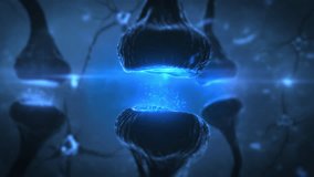 3D Animation Of Neuron Cells Sending Electrical Information. Synapse, Neurotransmitter Release, Synaptic Transmission In The Brain, Information Transfer Of Between Neurons - Powered by Shutterstock - Get 15% off with code: PIKWIZARD15