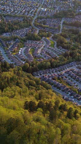 An aerial view of a suburban neighborhood at sunset with lush green trees and houses. British Columbia, Canada.