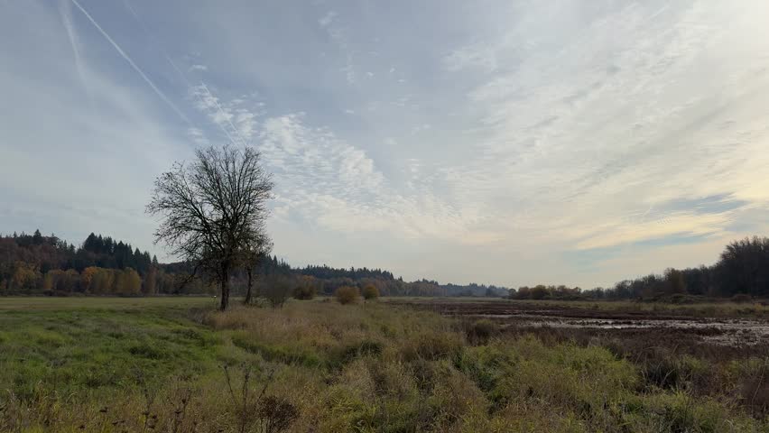 Ridgefield National Wildlife Refuge, Washington State