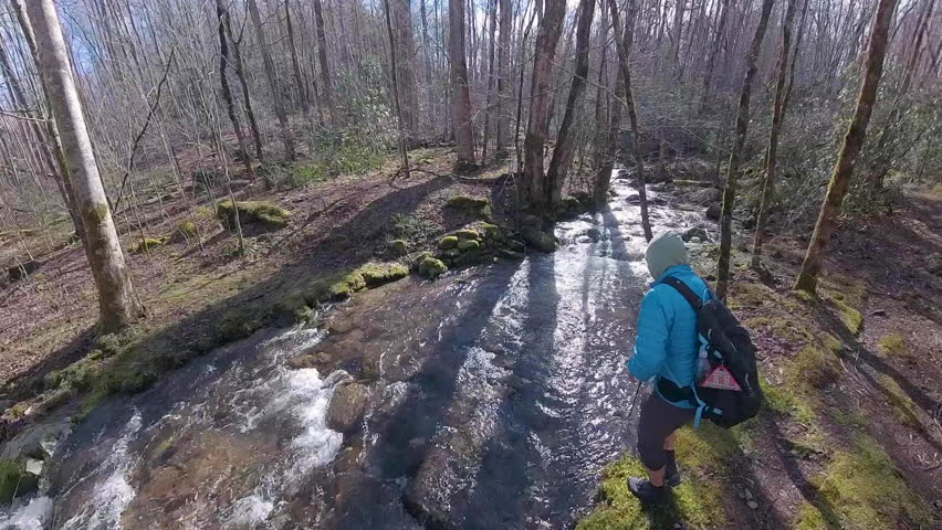 Man Crosses Shallow Creek on Sunny Day in Great Smoky Mountains National Park